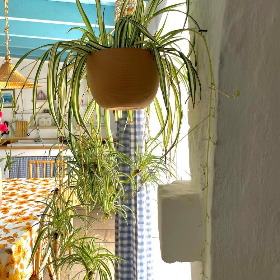Casa Vacanze Capurre "Trulli E Pajare A Due Passi Dal Pizzo" ガリポリ エクステリア 写真