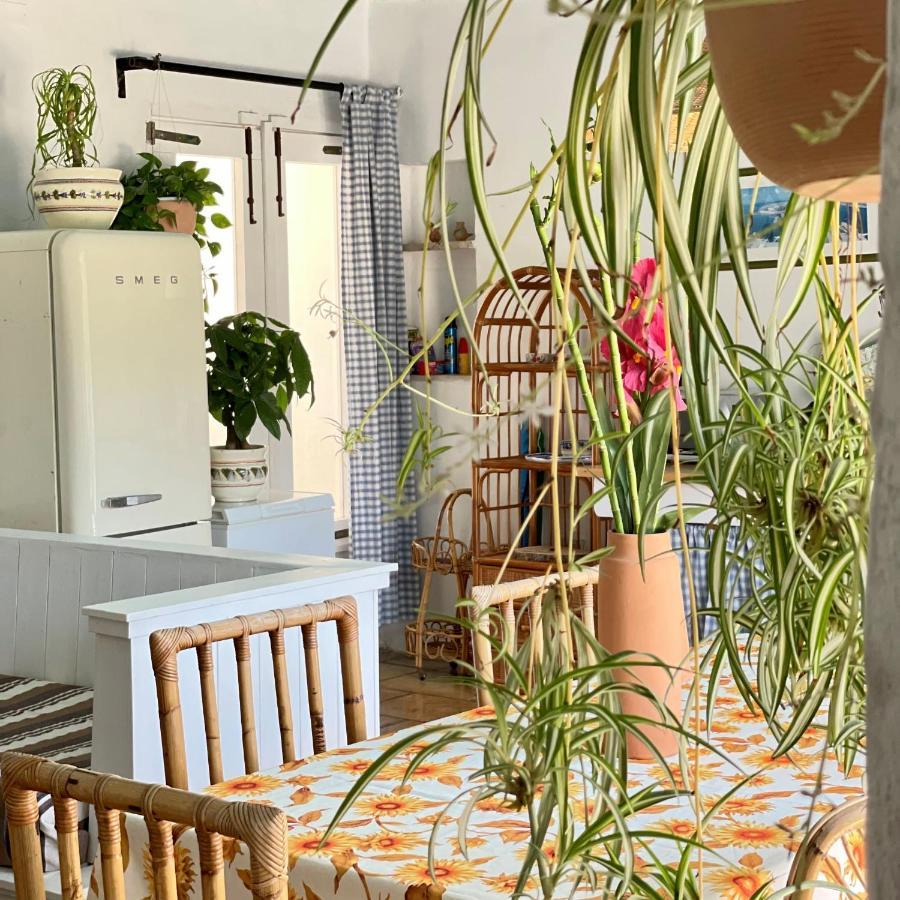 Casa Vacanze Capurre "Trulli E Pajare A Due Passi Dal Pizzo" ガリポリ エクステリア 写真