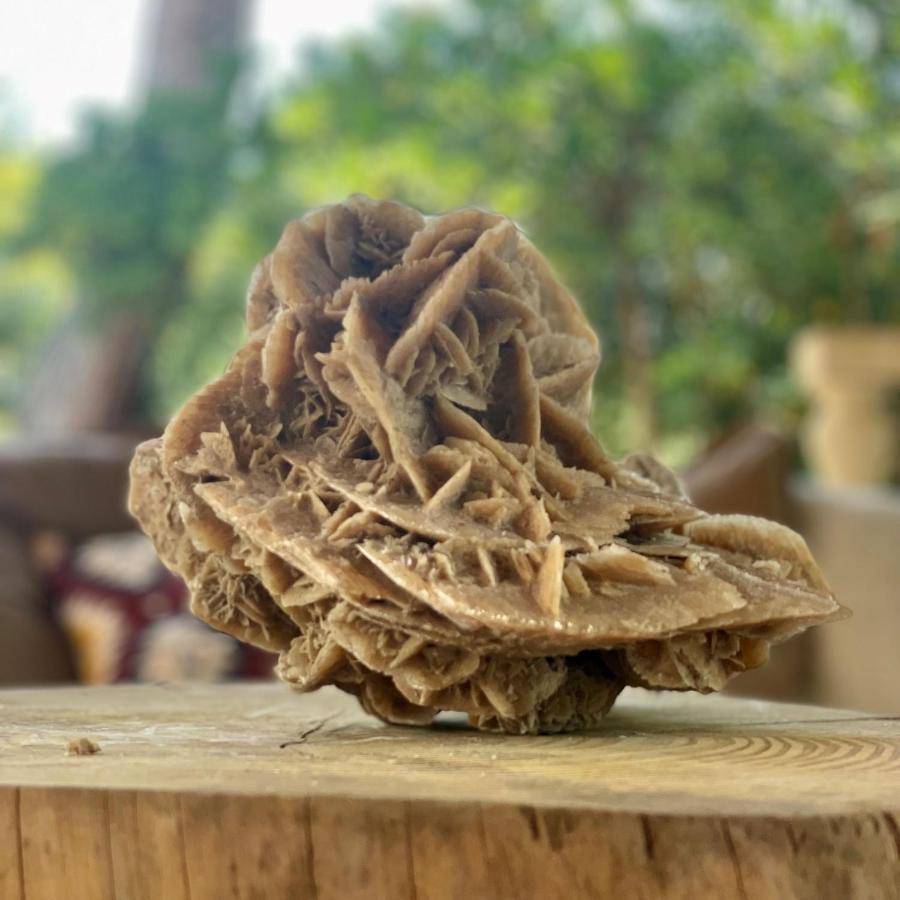 Casa Vacanze Capurre "Trulli E Pajare A Due Passi Dal Pizzo" ガリポリ エクステリア 写真