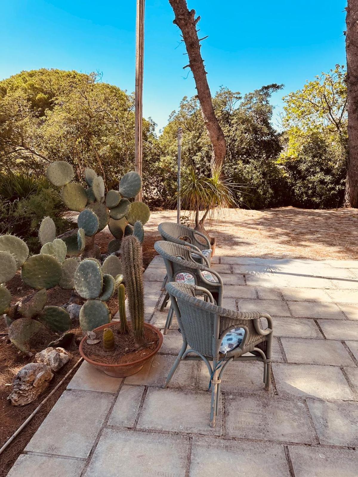 Casa Vacanze Capurre "Trulli E Pajare A Due Passi Dal Pizzo" ガリポリ エクステリア 写真